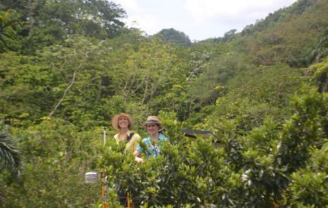Tropical Responses to Altered Climate Experiment (TRACE)